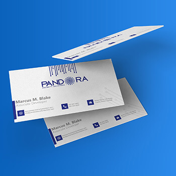 Pandora Security Solutions Business Card Design