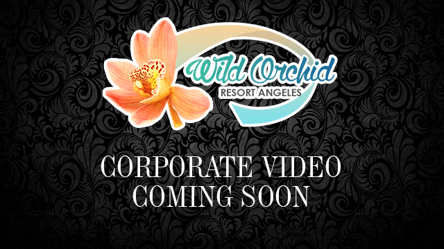Corporate Video Coming Soon